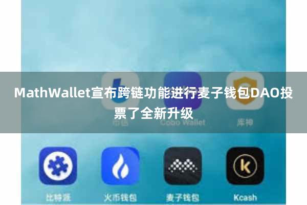 MathWallet宣布跨链功能进行麦子钱包DAO投票了全新升级