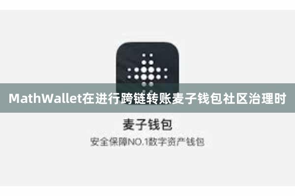 MathWallet在进行跨链转账麦子钱包社区治理时