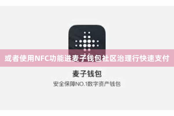 或者使用NFC功能进麦子钱包社区治理行快速支付