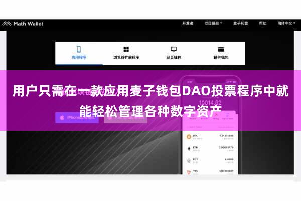 用户只需在一款应用麦子钱包DAO投票程序中就能轻松管理各种数字资产