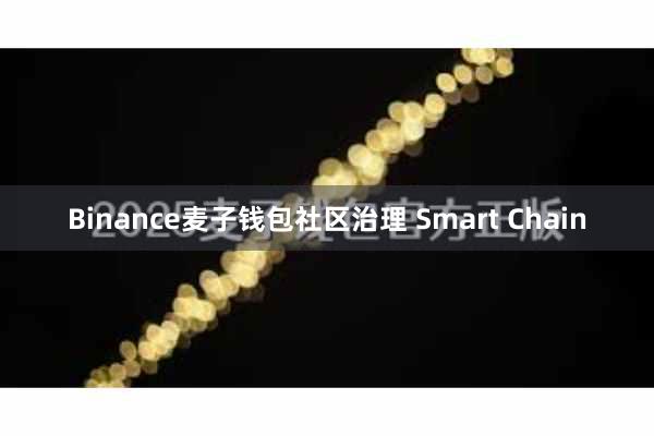 Binance麦子钱包社区治理 Smart Chain