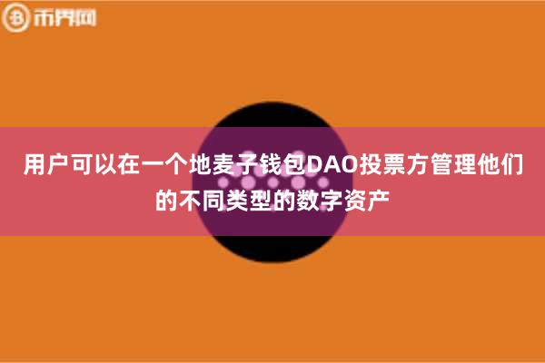 用户可以在一个地麦子钱包DAO投票方管理他们的不同类型的数字资产